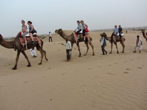 Camel-Rides-scaled
