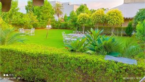 IMG_20210928_222650-scaled