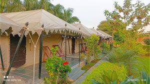 IMG_20210928_222908-scaled