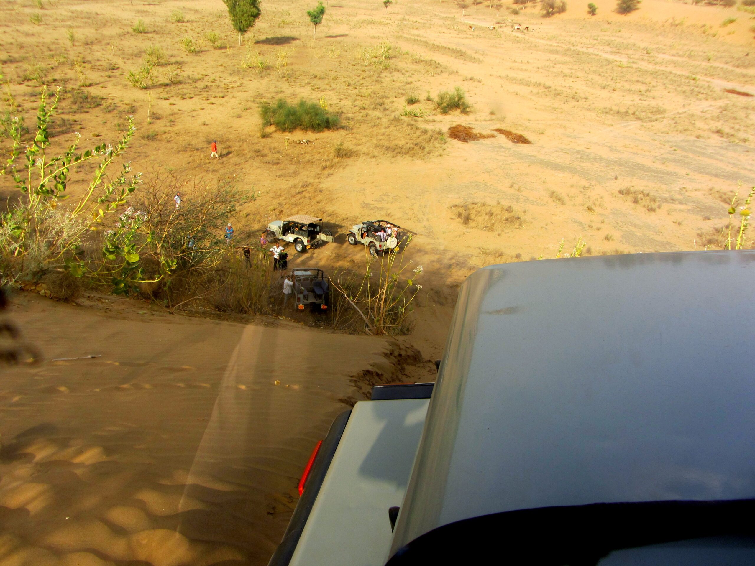 Jeep-Safari-Dip-scaled