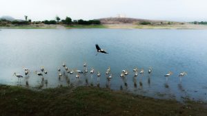 lakes