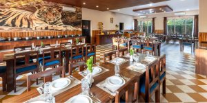 Abhyaran Resort Ranthambore (5)